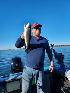 Lake Camanche Fishing Pro Angler